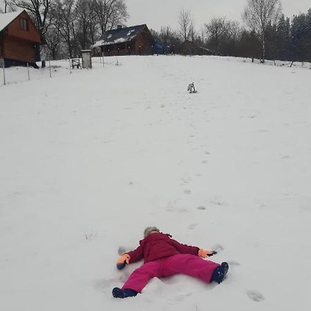 Przytulne Na Poddaszu Jelenia Gora Exterior photo